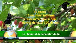 La Minutul De Sanatate Dudul - 29.03.2018