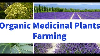 Organic Farming of Medicinal Plants screenshot 5