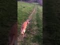 An evening stroll