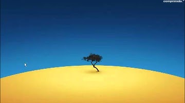 Conexão com Banco usando Delphi    Introdução