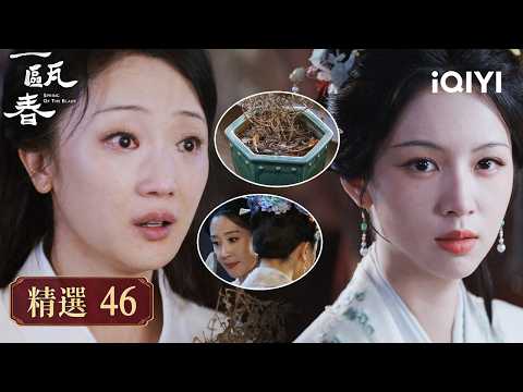 《一甌春》精選46🥀♟️：舊案再反轉！梅姨娘離奇失常竟是遭人下藥，清圓憑一盆枯花揪出幕後的扈夫人 | 愛奇藝