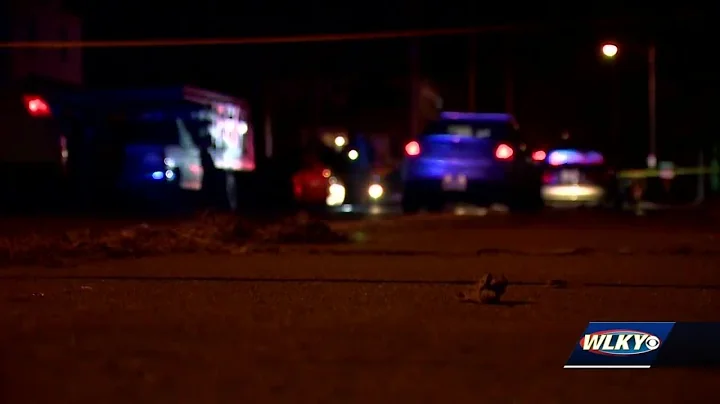 West Louisville activists introduce plan to curb deadly violence