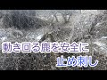 【狩猟】鹿止め刺し