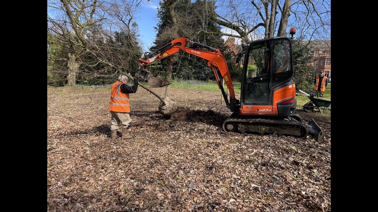 Tree planting on campus