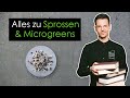 Alles zu Sprossen und Mikrogrün • Spartipp 3/3