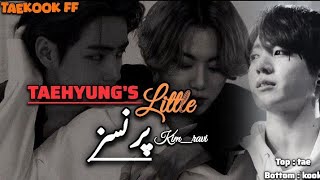 Taehyung’s Little Princess | Ep 11 | Taekook FF | #taekookff #writerjaavi #btsurduff
