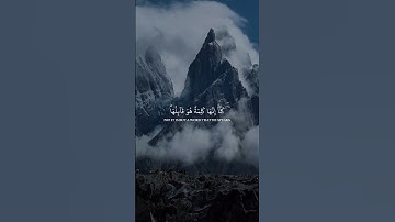 ياسر الدوسري  - سورة المومنون#قران #قران_كريم #quran #qur49n #quran_alkarim #ماهرالمعيقلي
