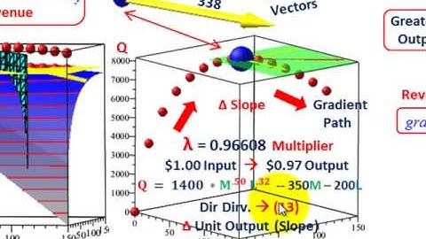 Linear Programming (Directional Derivatives, Gradient Vectors & Lagrange Multipliers, Constraints)