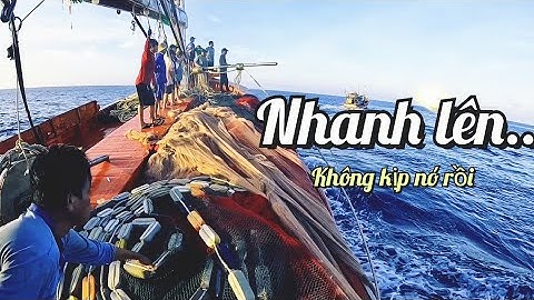 Hôm Nay, Thất Thủ Với Bầy Cá Ngừ Ngày Rồi | Đánh Cá 2025 - Tập 12 | Sóng Biển Hứa Đông