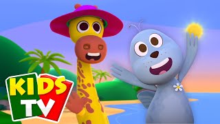 El Reino Zoo 5 A Girafa E A Foca Rima Divertida Para Crianças