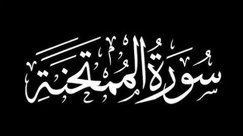 سورة الممتحنة معاذ الخلطي 