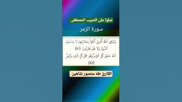 الايه 61 و 62 من سورة الزمر #القرآن_الكريم #القران_الكريم #القرآن #القران #سورة_الزمر #سورة_الزمر