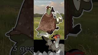 I drew some geese - ANIMATION MEME