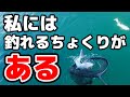 ドラグを緩めてしゃくって釣る！ちょくりサビキで真鯛が連発！
