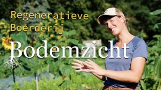 Download Lagu Regeneratieve Boerderij Bodemzicht MP3 Download Lagu Regeneratieve Boerderij Bodemzicht MP3