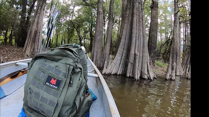 Scouting a River bottom and hunting hogs