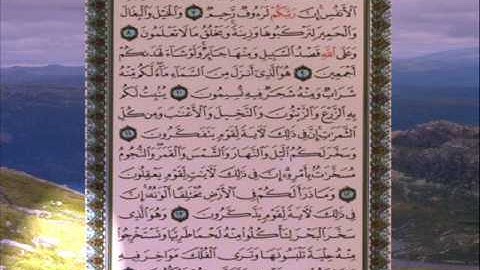 القران الكريم سورة النحل من الاية 1 الى الاية14