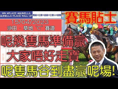 【賽馬貼士提供】2023/04/15 沙田 呢幾隻馬準備贏 大家唔好走寶! 呢隻馬谷到盡贏呢場!! #賽馬貼士 #賽馬 #賽馬投注 #賽馬分析