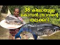 38 കിലോയുള്ള കൊമ്പൻ സ്രാവിന്റെ തലക്കറി....എന്റെ സാറേ ...പൊളി സാനം |   38 Kg MAKO SHARK HEAD CURRY