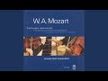 Miniature de la vidéo de la chanson Piano Trio No. 5 In C Major, K. 548: Ii. Andante Cantabile