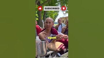 Sư Minh Tuệ Chia Sẻ Về Việc Bị Youtube Đối Lập Hỏi Những Câu Không Liên Quan Phật Pháp #suminhtue