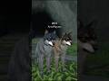 POV Wildcraft in 2018 wildcraft shorts POV Wildcraft in 2018 wildcraft shorts