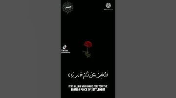 الله الذي جعل لكم الأرض قرارا | تلاوه جميله يبدع بها رعد الكردي
