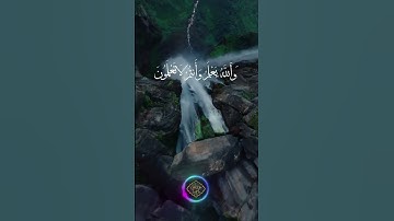 سورة البقرة الأية 216:  كتب عليكم الْقتال وهو كره لكم......واللَّه يعْلَم وأنتم لَا تَعْلَمون