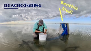 Beachcombing - Benthic Sled