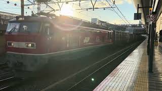3099レ EF510-9号機【富山】+コキ21B 京都駅通過シーン #3099レ #ef510 #レッドサンダー #コキ #京都駅 #通過シーン #貨物列車