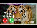 Police Horn Ringtone Police Horn Ringtone
