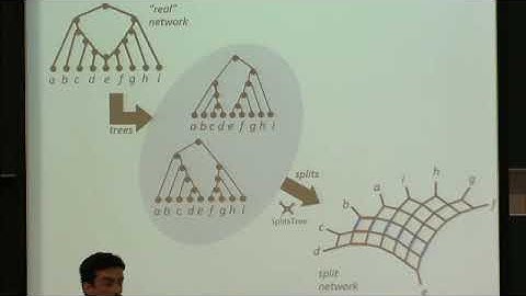 Dr. Philippe Gambette | Quartets and unrooted phylogenetic networks