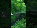 منظر خلاب وصوت العصافير وخرير المياه يجعلك تسترخي 