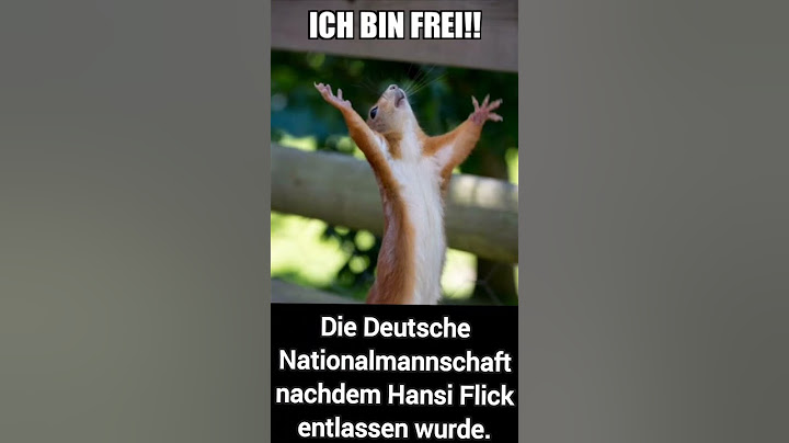 Dieser Unterschied nach dem Frankreich Spiel zeigte das es dir richtige Entscheidung war.