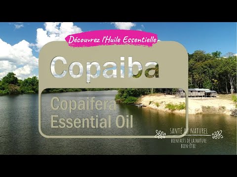 Vidéo: Avantages, Utilisations Et Recherche De L'huile De Copaiba