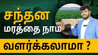 How To Start Sandalwood Farming - Sandalwood Farming In Tamil | Praveen | @ffreedomapp