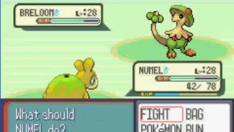 Pokemon Ruby Walkthrough Part-15