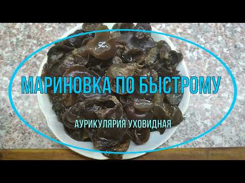 Быстрая мариновка аурикулярии.