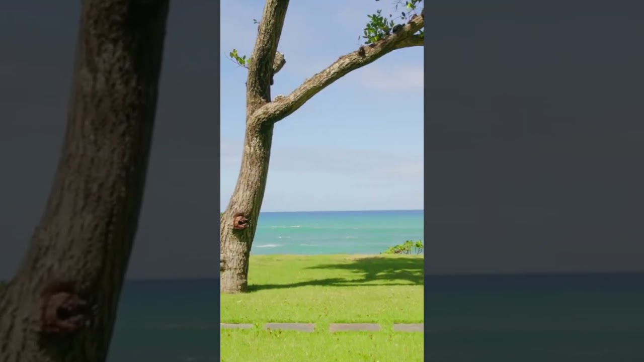 Vacation Beachfront Apartments for Sale in Sosua, Dominican Republic 🏝️🇩🇴 