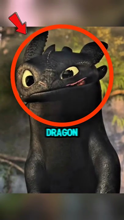 YOU DIDN'T NOTICE THIS DETAIL IN HOW TO TRAIN YOUR DRAGON