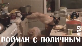 ЛУЧШИЕ ПРИКОЛЫ В COUB #59