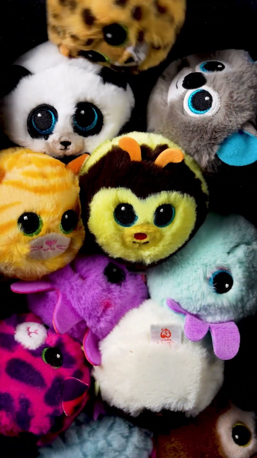 Beanie Bouncers - Get your fill of fun!