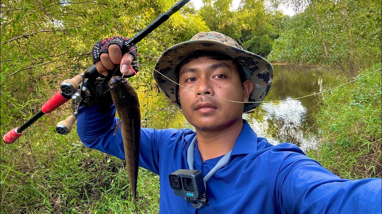 ប្លង់​ថ្មី​ត្រី​ខាំ​ច្រេីន​ណាស់​ | ស្ទឹង​នៅ​មុខ​ផ្ទះ​ | How to Catch Giant Snake Fish in Cambodia