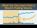 Understanding Stock Trends and Volume