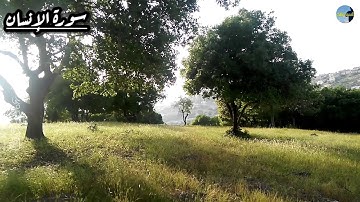 سورة الإنسان تلاوة رائعة للشيخ عبدالله الموسى