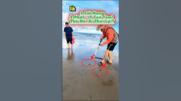 Cân hết tôm tích ở biển với cây hút tôm inox thần thánh!| Mò Cua Bắt Ốc -TV