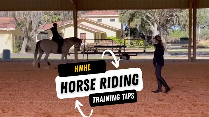 Horse riding training tips || Most important video...