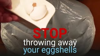 Stop Throwing Away Eggshells