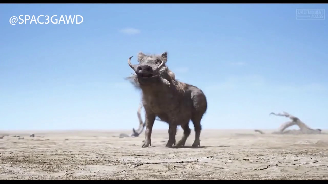 TIMON AND PUMBAA FIND SIMBA