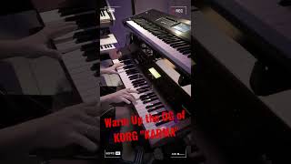 Warming up the old OG of "KORG KARMA"